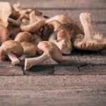6 Mushrooms Your Immune System Needs medicinal mushrooms health benefits