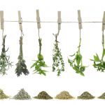Health Benefits of 19 Herbs and Spices health benefits of herbs and spices