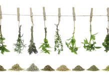 Health Benefits of 19 Herbs and Spices health benefits of herbs and spices