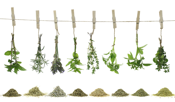 14 of the World's Healthiest Spices & Herbs You Should Be Eating