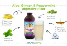 Aloe, Ginger, and Peppermint Digestive Fixer Aloe, Ginger, and Peppermint Digestive Fixer