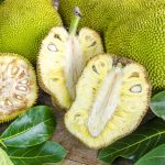 Do You Know Jack about Jackfruit? jackfruit