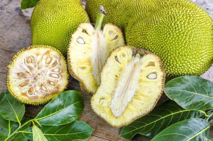 jackfruit