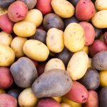 Appreciating Potatoes: A Spud Review different varieties of potatoes