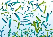 probiotics mental health
