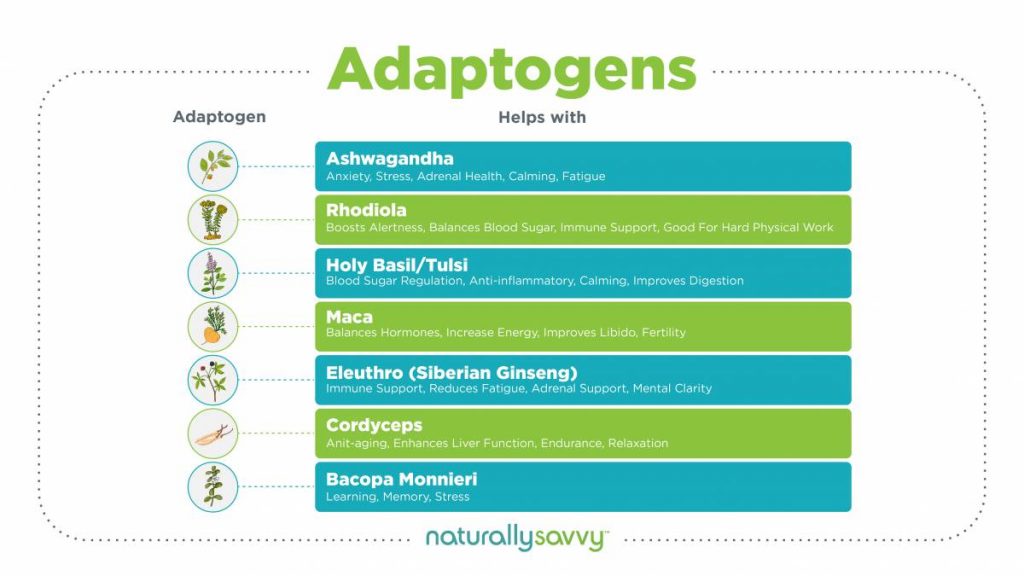 Top Adaptogens to balance your body
