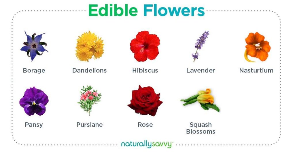 eating-flowers-9-delicious-healthy-blooms-naturally-savvy