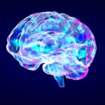 Supplements for Better Brain Health and Function brain health and function supplements