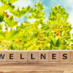 How to Break Wellness Barriers and Build Lasting Healthy Habits wellness through lasting habits