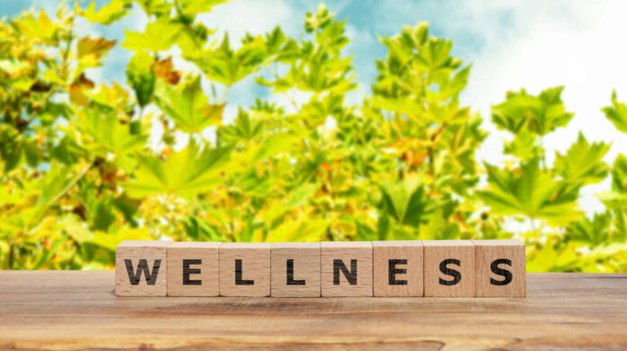 wellness through lasting habits